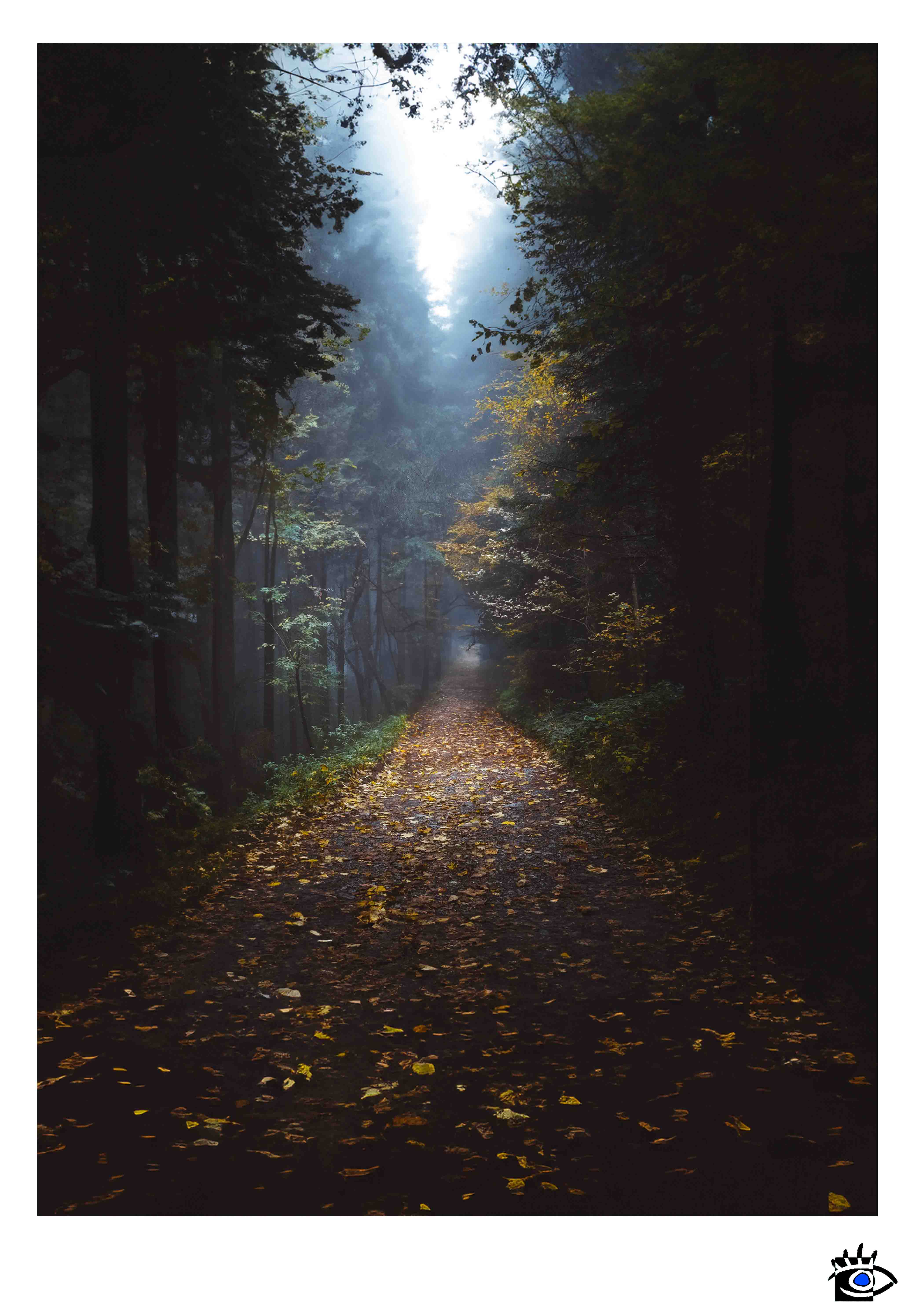 Sentiero autunnale coperto di foglie conduce in una foresta con nebbia