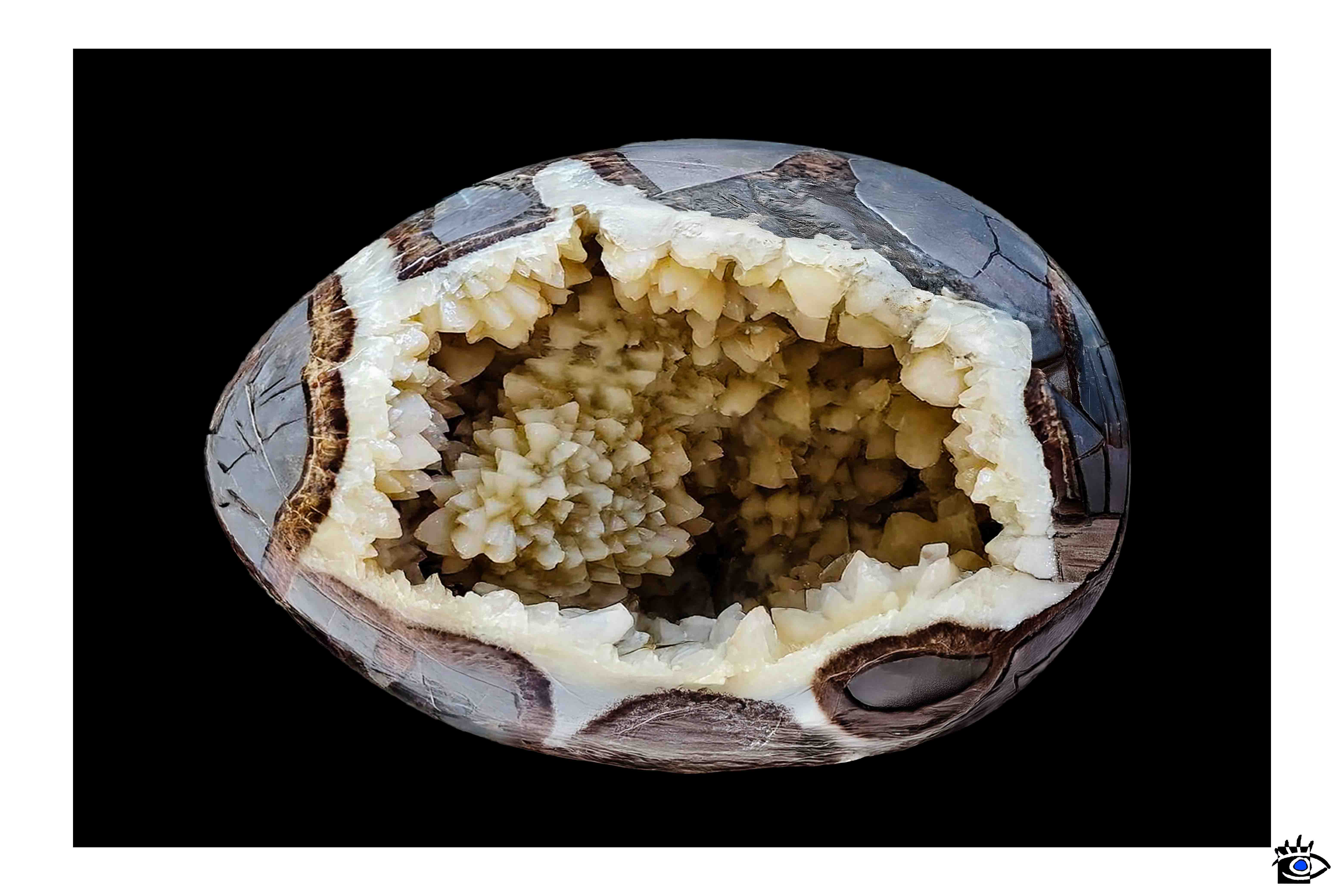 Geode settaria aperta mostra cristalli interni.