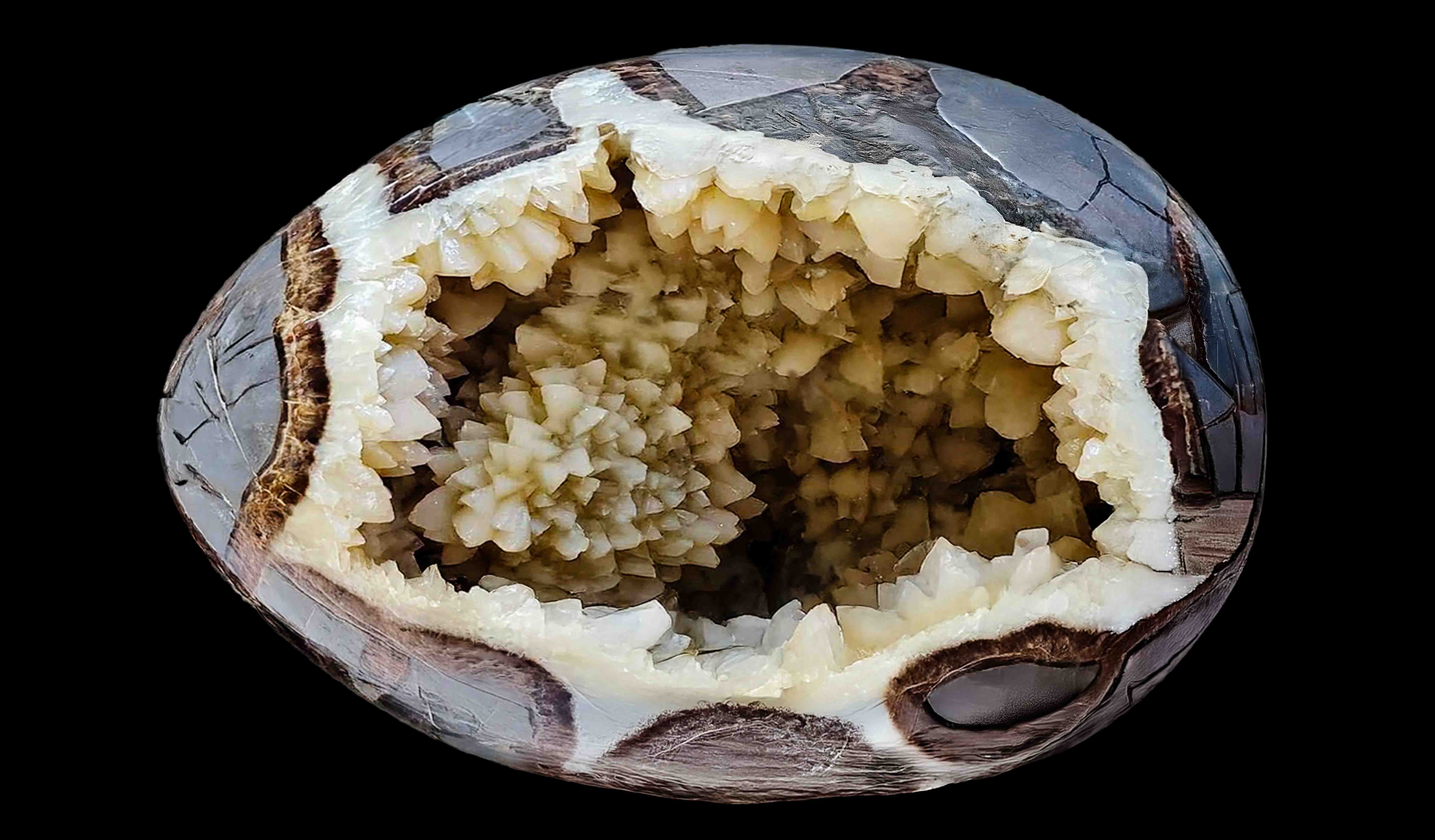 Un Tesoro Geologico tra le Mani: La Magia Nascosta delle Geodi Settarie