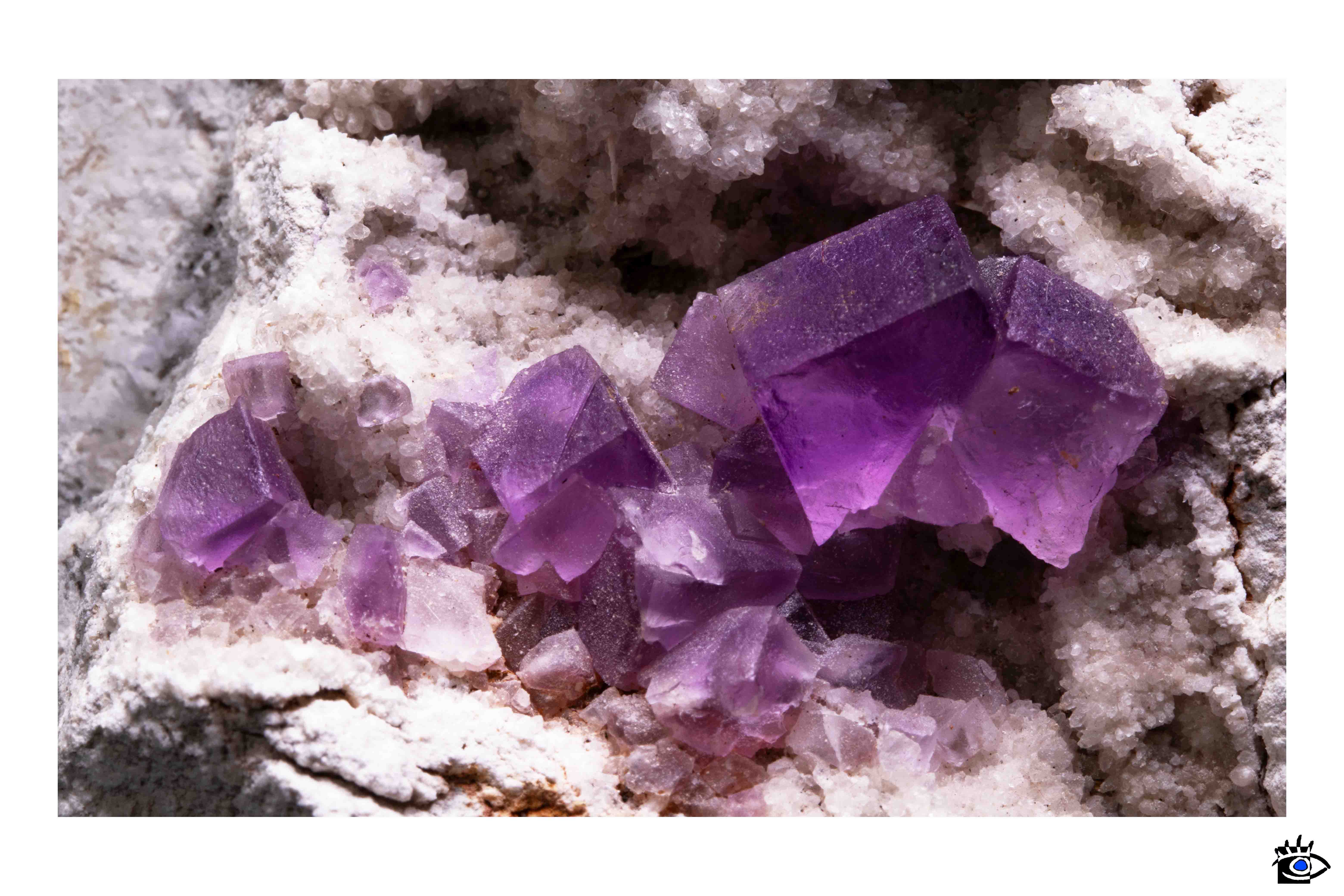 Campione di fluorite viola con cristalli cubici traslucidi su matrice rocciosa granulosa.