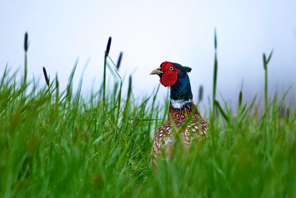 📍Quando la Natura Chiama in&nbsp;Silenzio