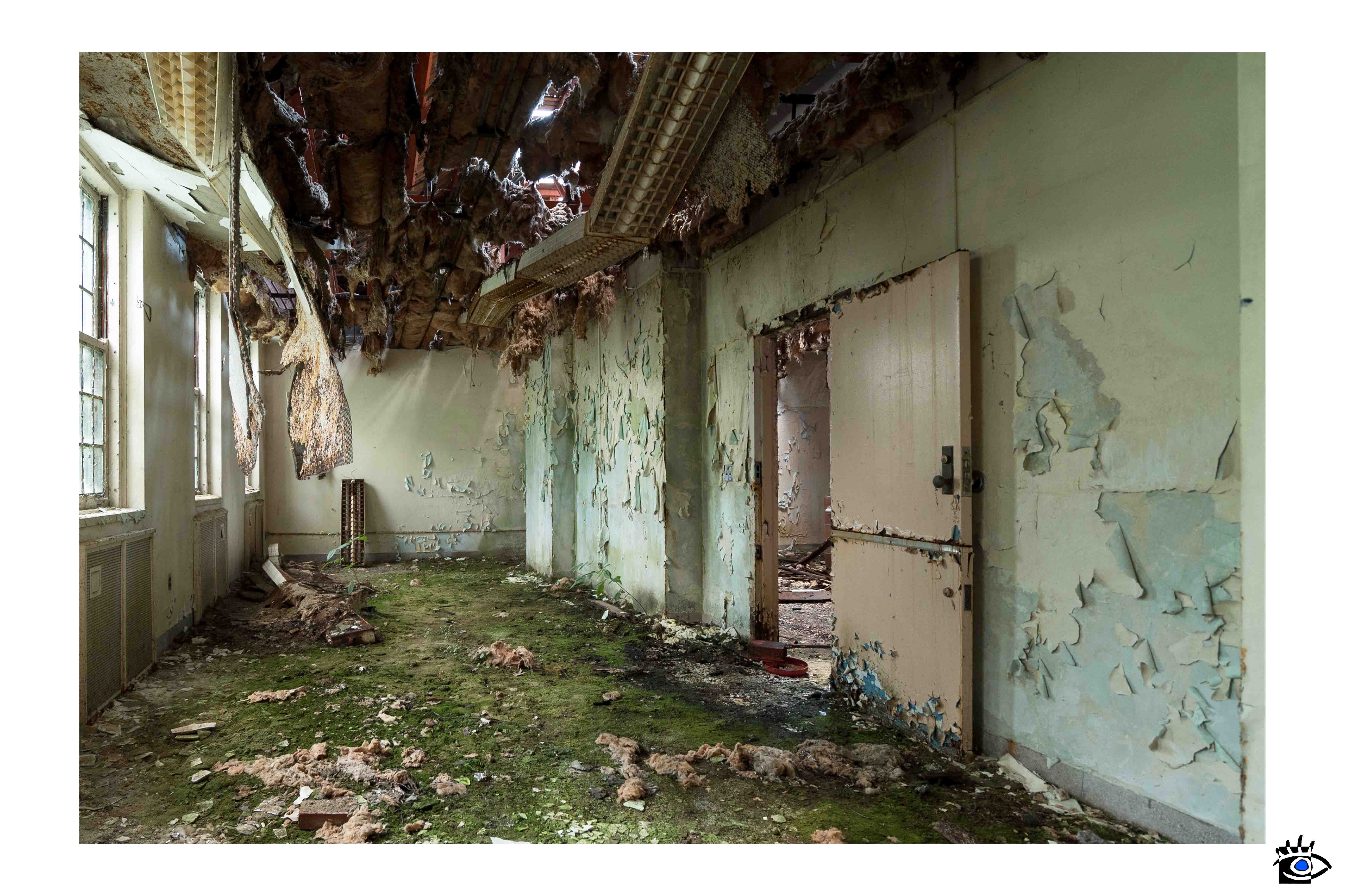 Corridoio di una fabbrica abbandonata con soffitto crollato, pareti scrostate, porte danneggiate e pavimento coperto di muschio e detriti